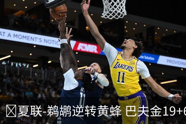 🏀夏联-鹈鹕逆转黄蜂 巴夫金19+6+5 麦克尼利17+5+5